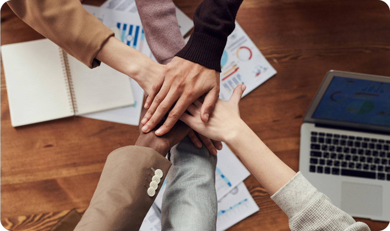 Our team expertise